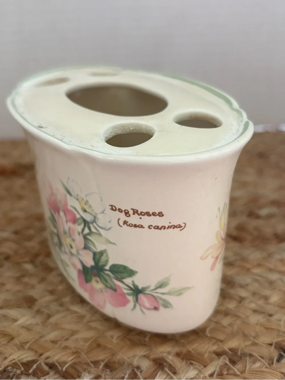 Vintage Royal Winton “The Country Diary Collection toothbrush holder